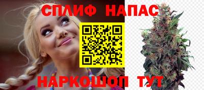 стаф Обнинск