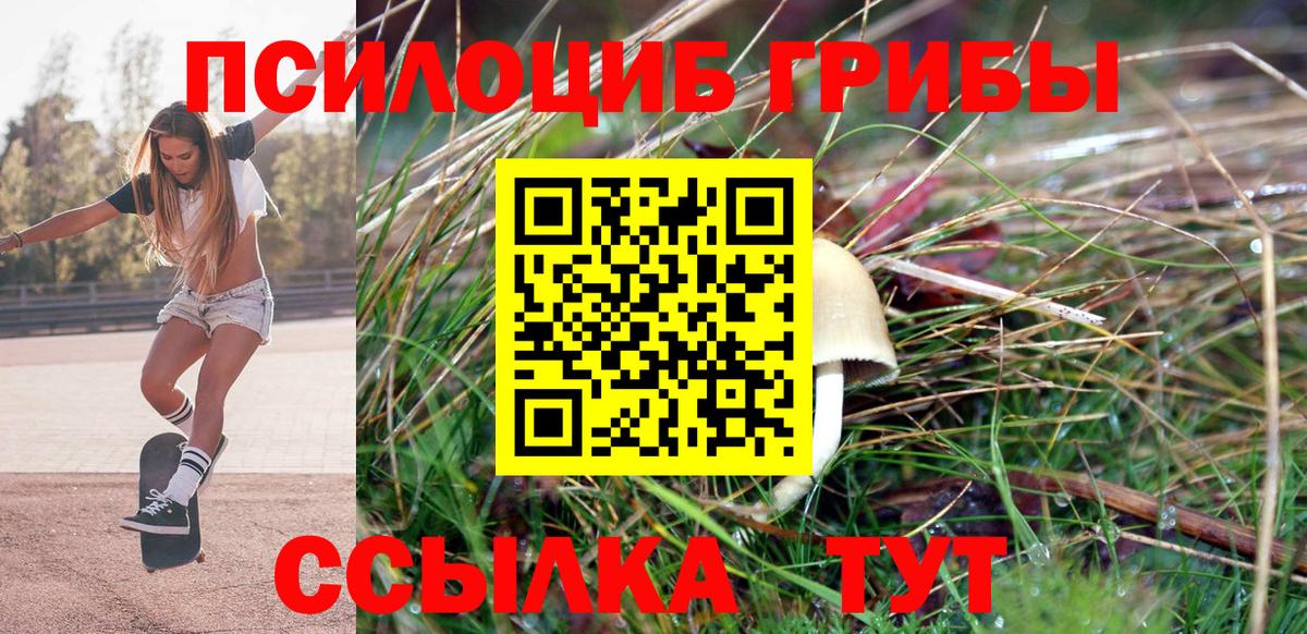 Галлюциногенные грибы Magic Shrooms  Псилоцибиновые грибы Psilocybe  Соликамск  Вход с VPN 